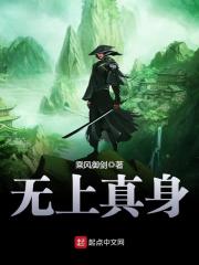无上真身封面