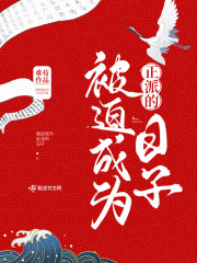 被迫成为正派的日子封面