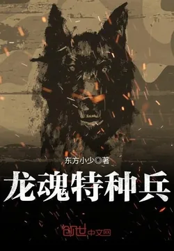 龙魂特种兵封面
