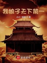 我娘子天下第一封面