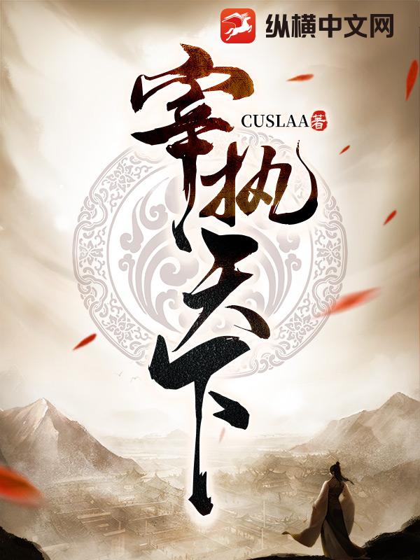 宰执天下封面