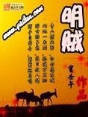 明贼封面