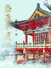 盛唐不遗憾封面