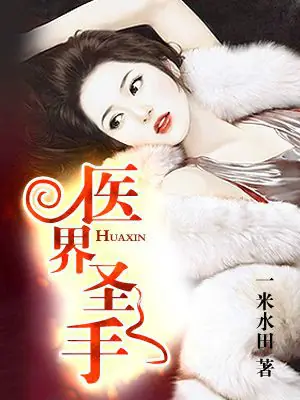 医界圣手封面