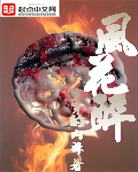 风花醉封面