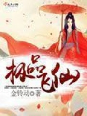 极品飞仙封面