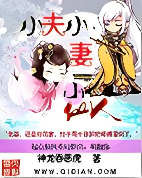 小夫小妻小仙人封面