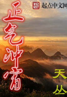 正气冲宵封面