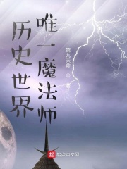 历史世界唯一魔法师封面