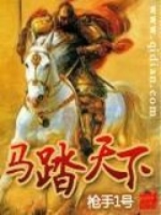 马踏天下封面