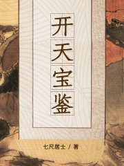 开天宝鉴封面