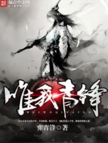 唯我青锋封面