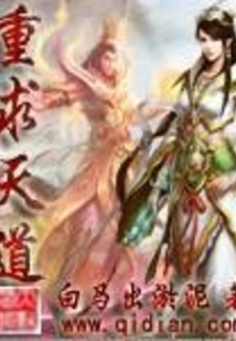 重求天道封面