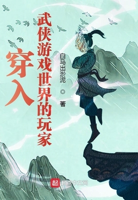 穿入武侠游戏世界的玩家封面