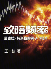 致暗频率封面