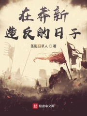 在莽新造反的日子封面