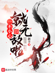 一不小心就无敌啦封面