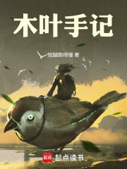 木叶手记封面