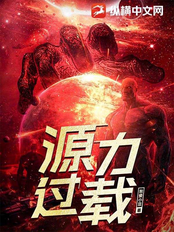 源力过载封面