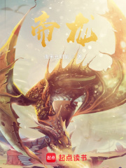 帝龙封面