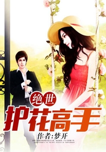 绝世护花高手封面
