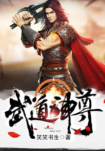 武道神尊封面