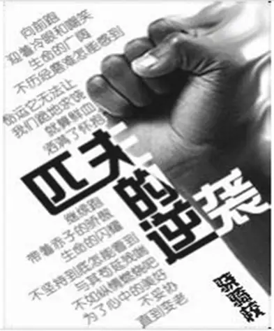 匹夫的逆袭