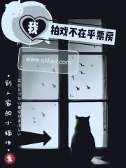 我拍戏不在乎票房封面