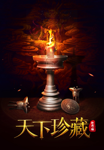 天下珍藏