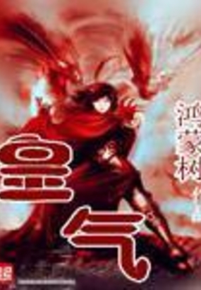 皇气封面