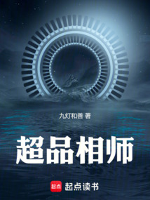 超品相师封面