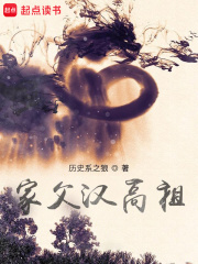 家父汉高祖封面