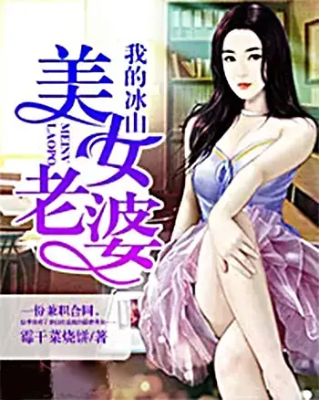我的冰山美女老婆封面