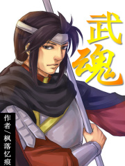 武魂封面